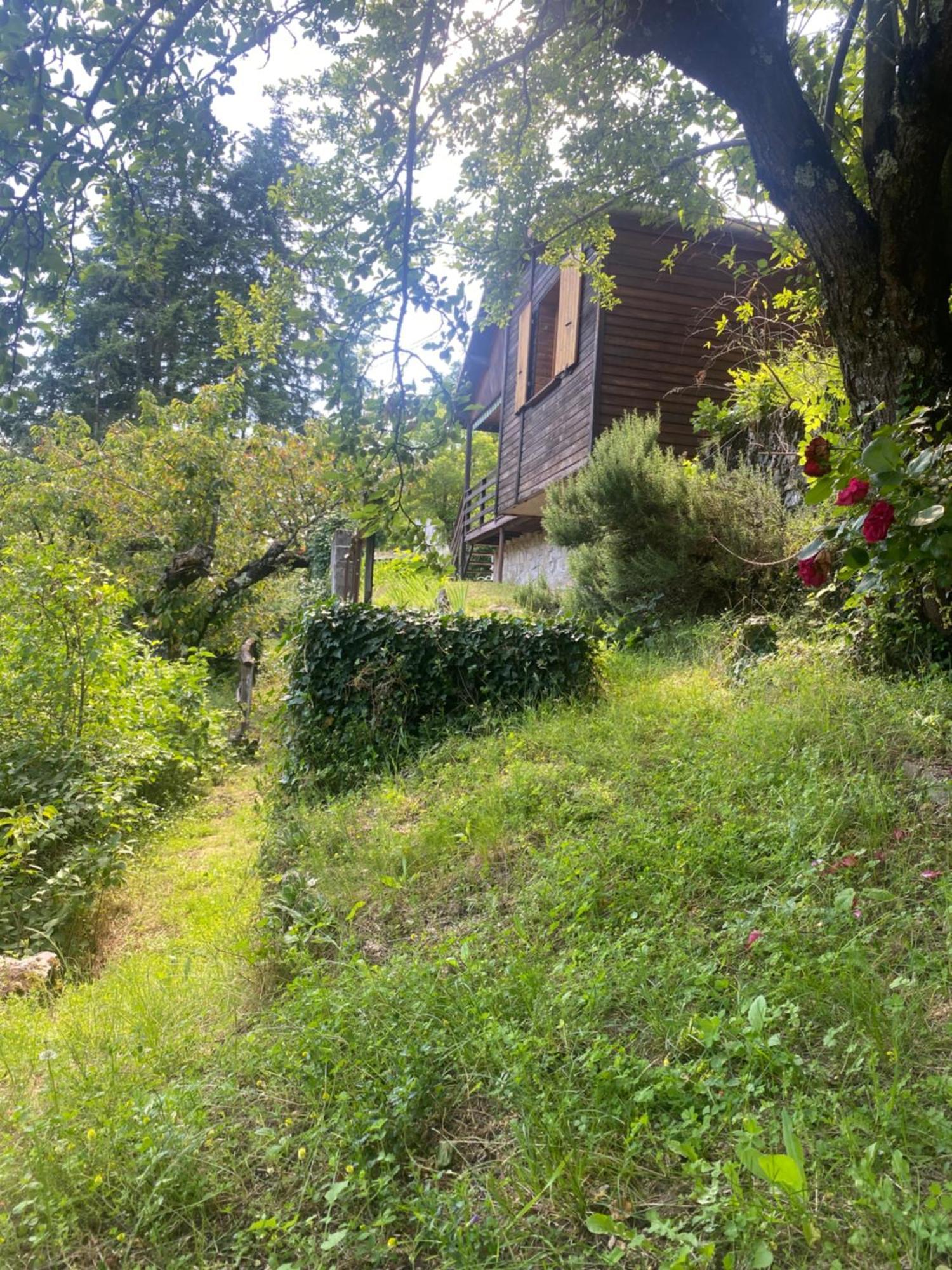Chalet Les Accacias Vocance Екстериор снимка